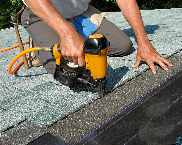Best Roof Gutter Cleaning  in Pquemine, LA