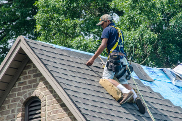 Best Residential Roofing Contractor  in Pquemine, LA